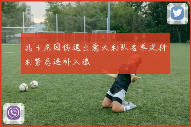 扎卡尼因伤退出意大利队名单皮科利紧急递补入选