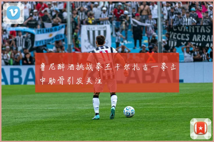 鲁尼醉酒挑战拳王卡尔扎吉一拳击中肋骨引发关注